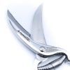 M.F. Forbici Trinciapolli Gazzella Inox-coltellipersonalizzati.com