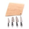 Zwilling Ceppo Magnetico + set 4pz Miyabi 5000FC-D-coltellipersonalizzati.com