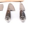 Zwilling Ceppo Magnetico + set 4pz Miyabi 5000FC-D-coltellipersonalizzati.com