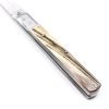 M.F. Sfilato Ancient Horn Stainless Steel Scale 28cm -custom-knives