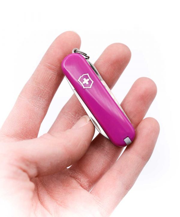 Victorinox Classic SD Tasty Grape-coltellipersonalizzati.com