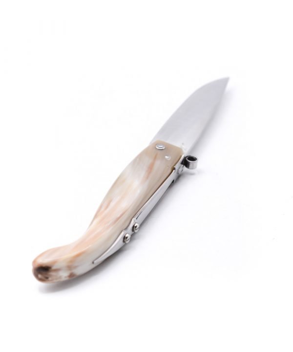 Nino Saracca Romagnola 25cm- coltellipersonalizzati.com