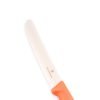 Victrorinox punta tonda arancione pastello- coltellipersonalizzati.com