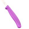 Victrorinox punta tonda viola- coltellipersonalizzati.com