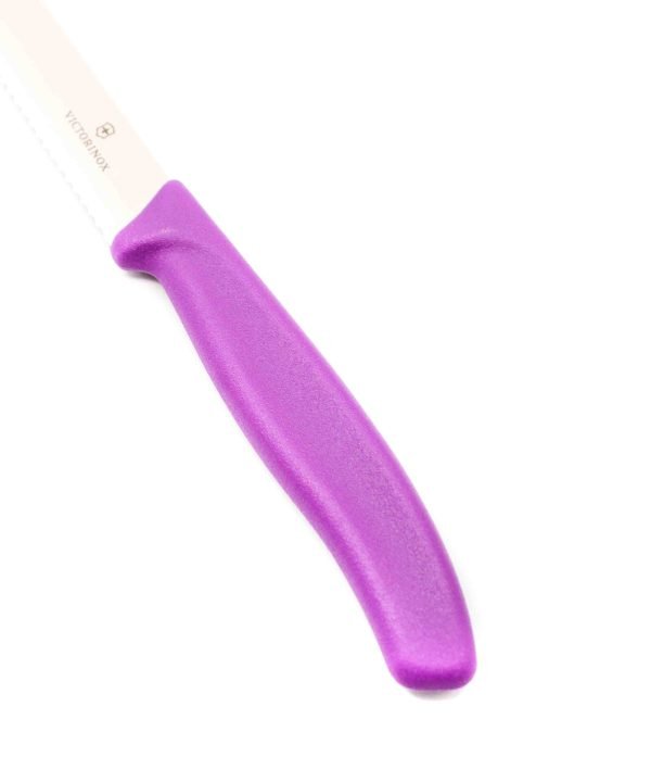 Victrorinox punta tonda viola- coltellipersonalizzati.com