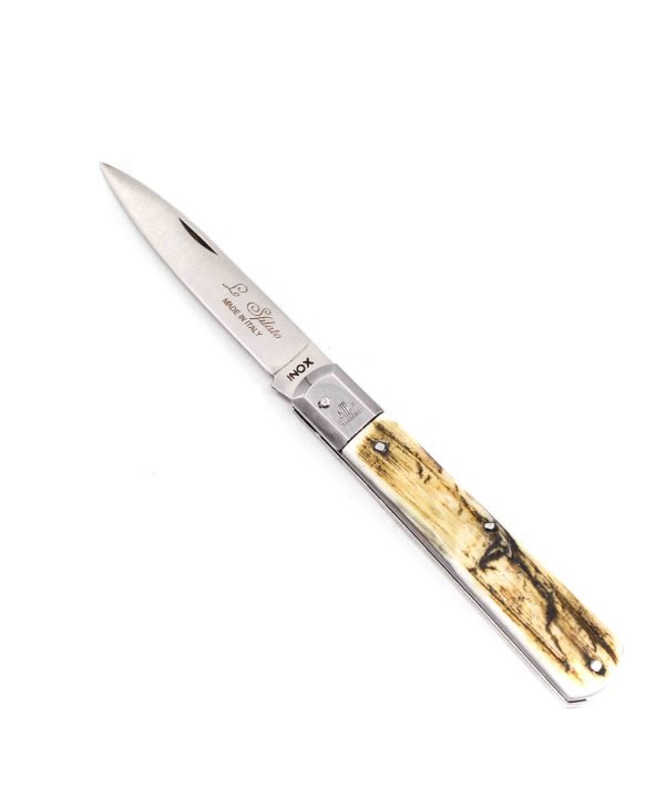 M.F. Sfilato Corno Antico Testina INOX 19cm - coltellipersonalizzati.com